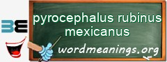 WordMeaning blackboard for pyrocephalus rubinus mexicanus